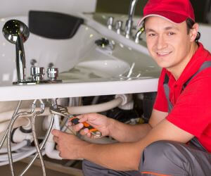 About Emergency plumbing pros Horton, MI